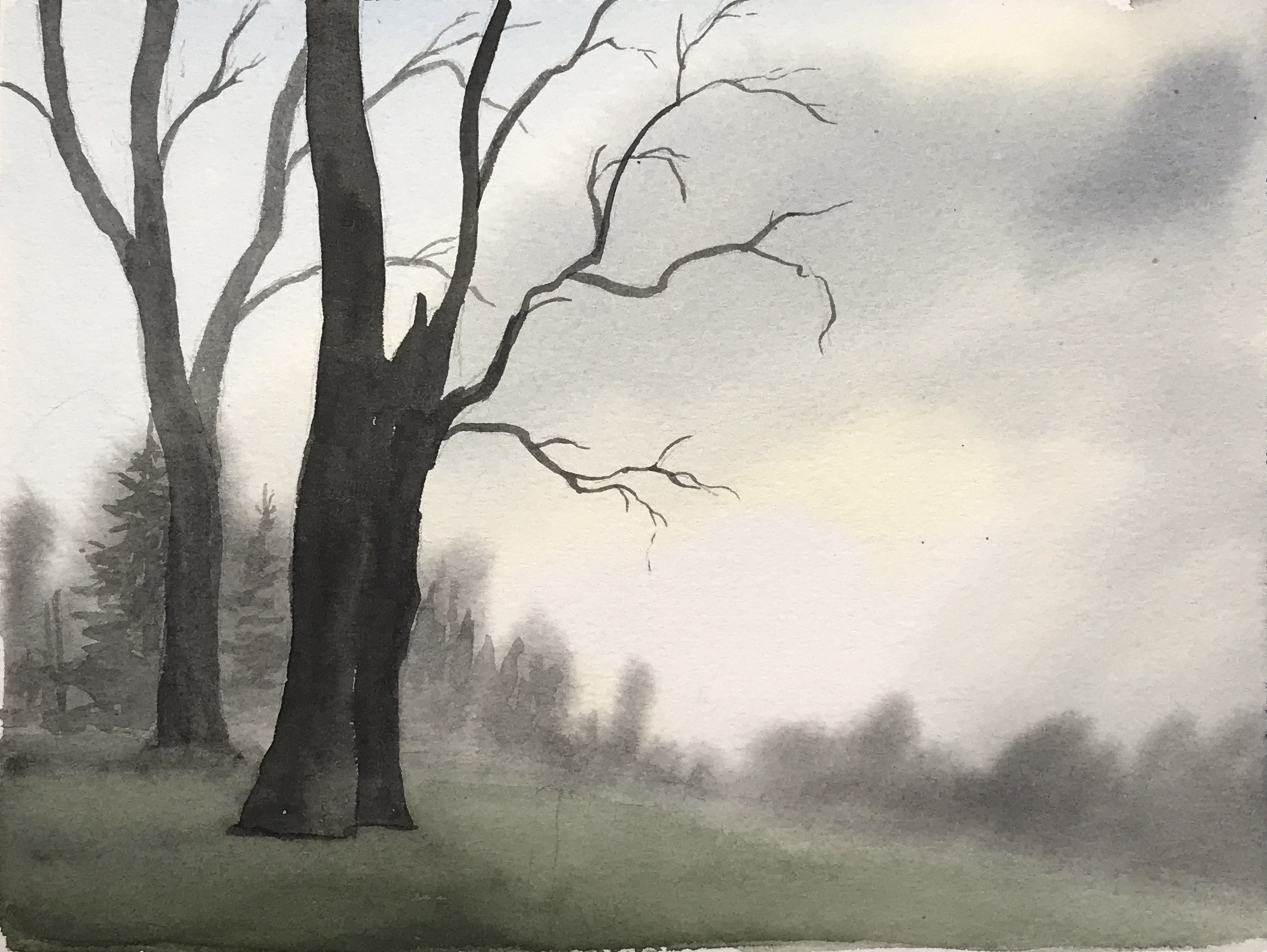 Aquarell (Lea Joos): Bäume im Nebel
