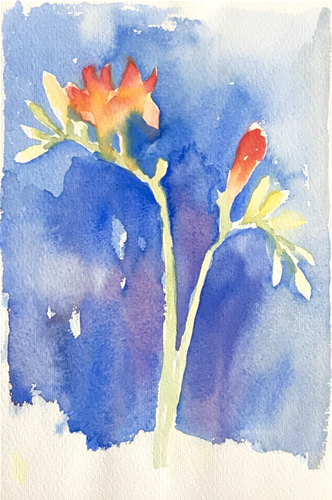 Aquarell (Lea Joos): Tulpen